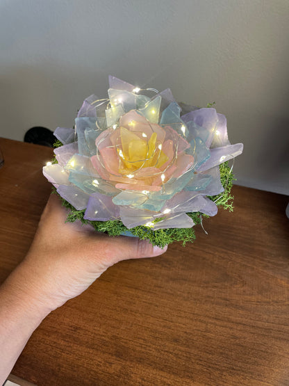 Mother's Day Workshop