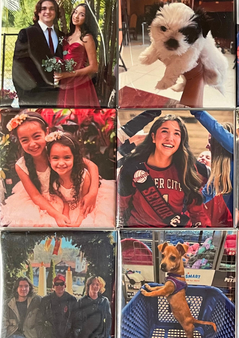 Set of 6 Photo Magnets